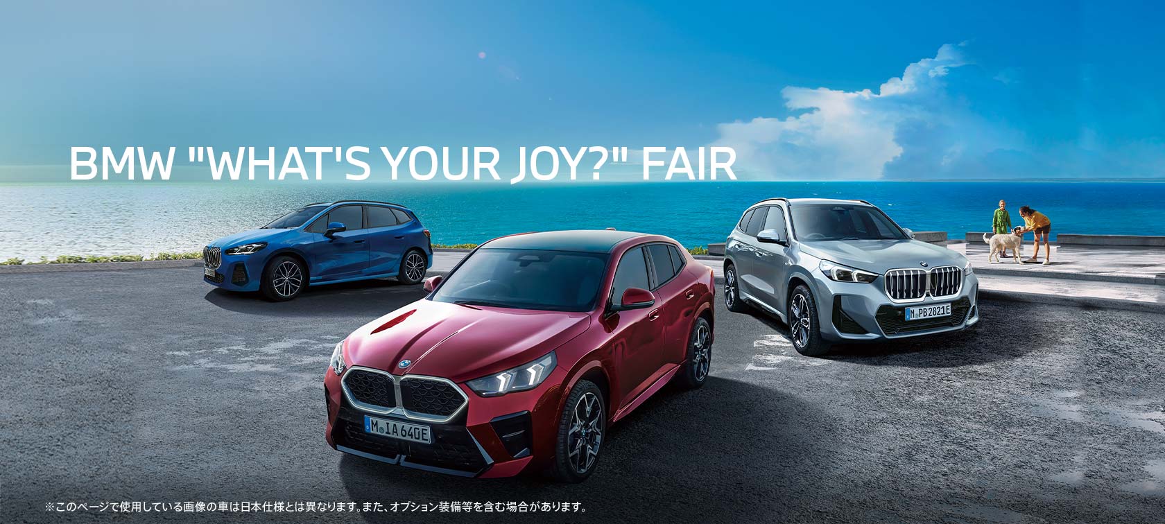 BMW 'WHAT'S YOUR JOY?' FAIR