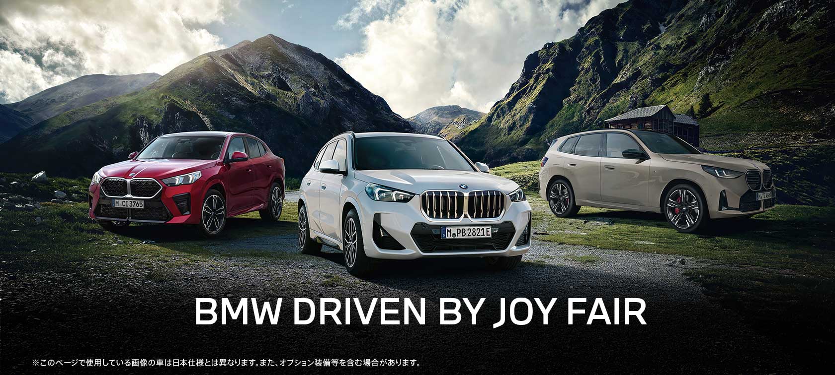 BMW 'WHAT'S YOUR JOY?' FAIR